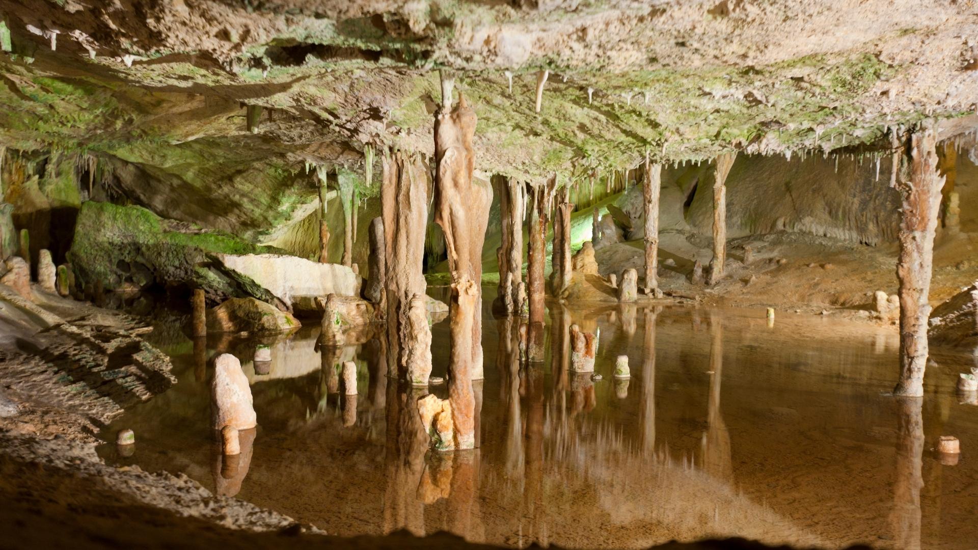 san lorenzo caves
