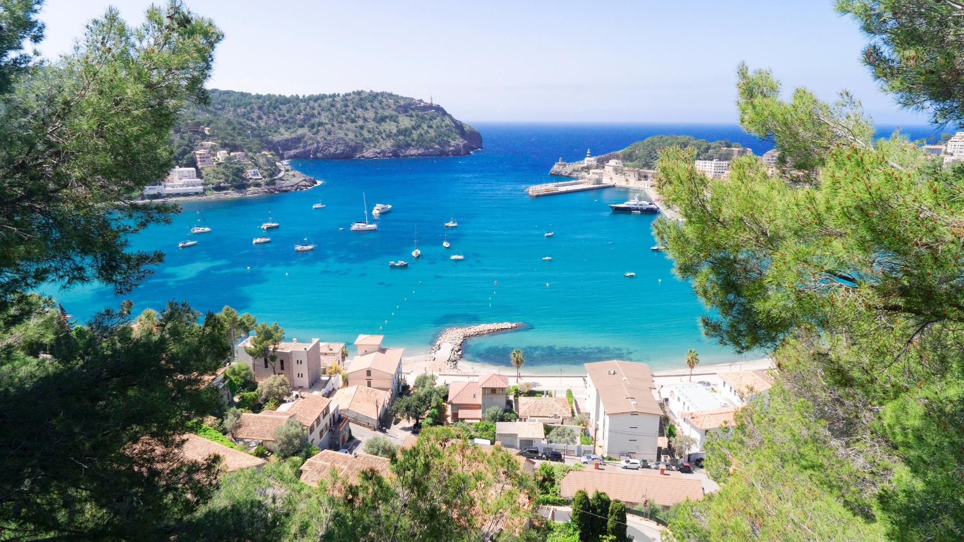 How to book a luxury yacht charter in Mallorca and try their oranges