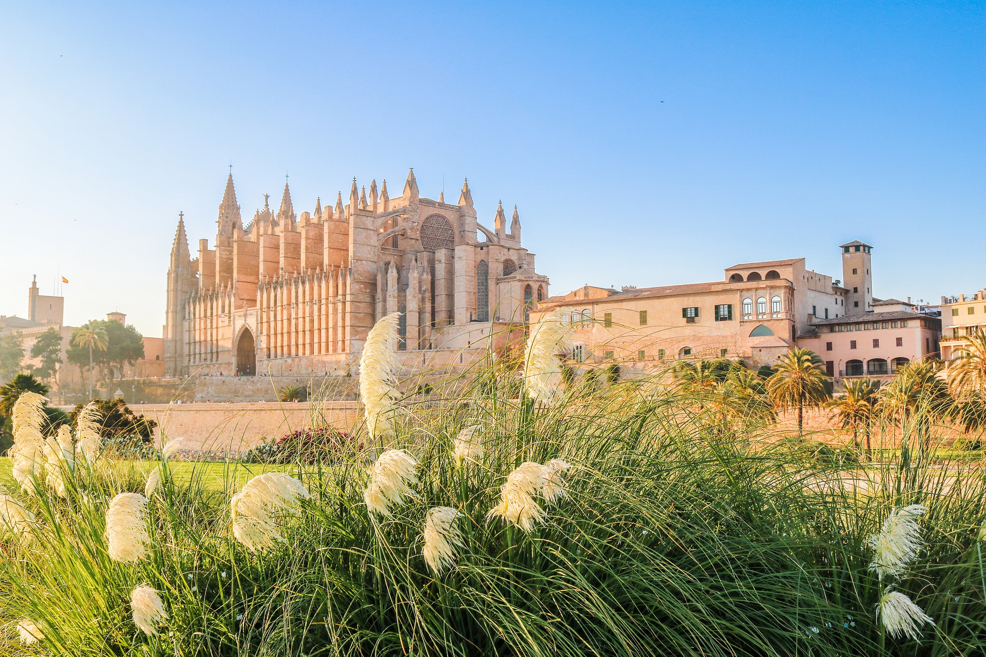 Spend a perfect day in Palma de Mallorca