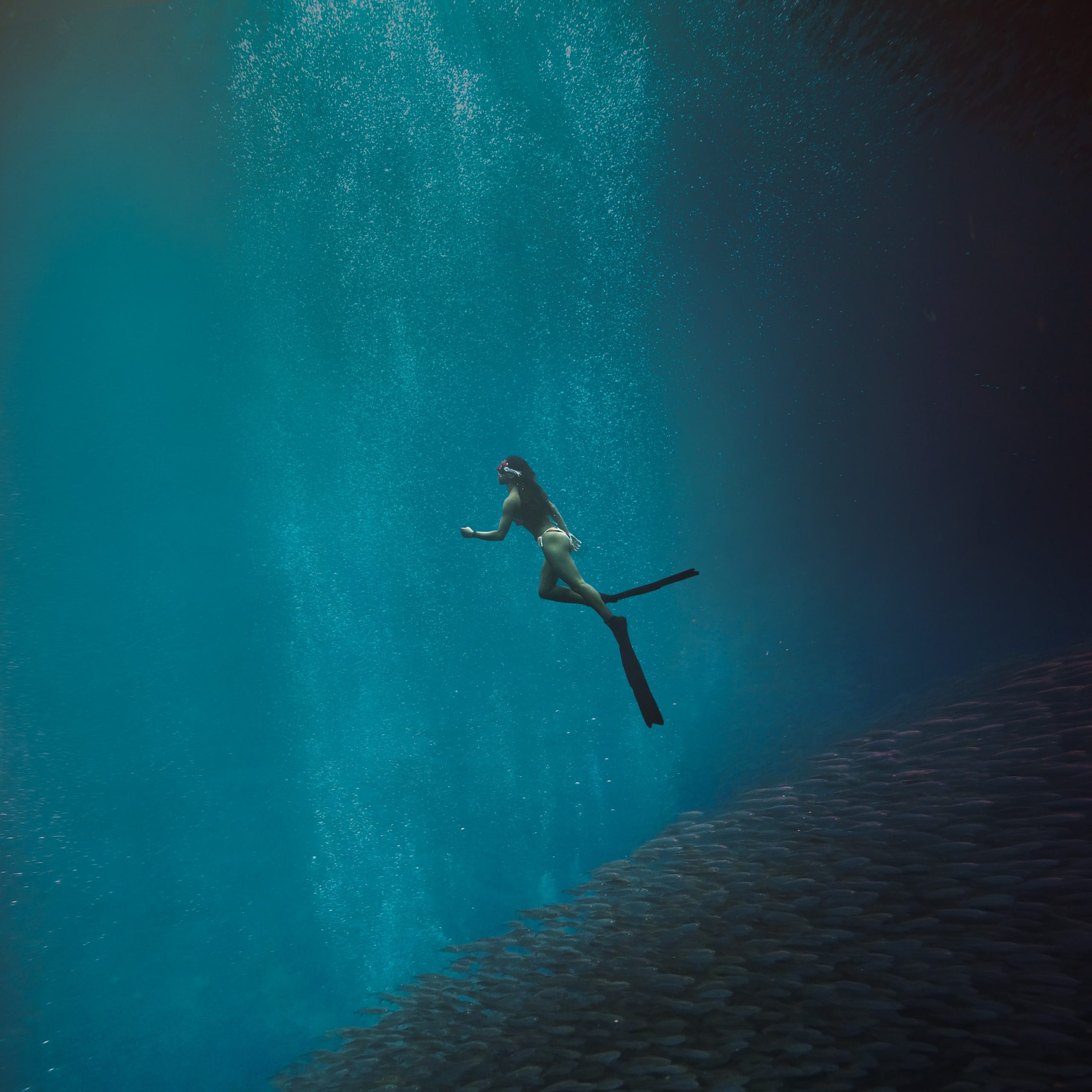 Top 5 Breathtaking Diving Locations In The Caribbean