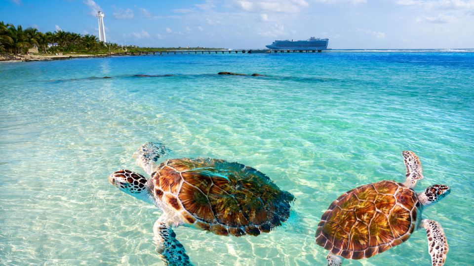 Boatsters Black luxury yacht charter in the Caribbean under warm autumn skies
