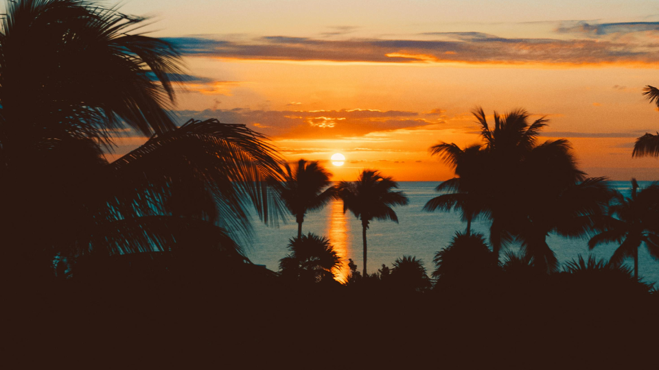 Escape the Winter Blues: Your Ultimate Caribbean Yacht Charter Guide (January-March)